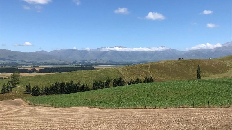 Nurturing Natural Capital in New Zealand
